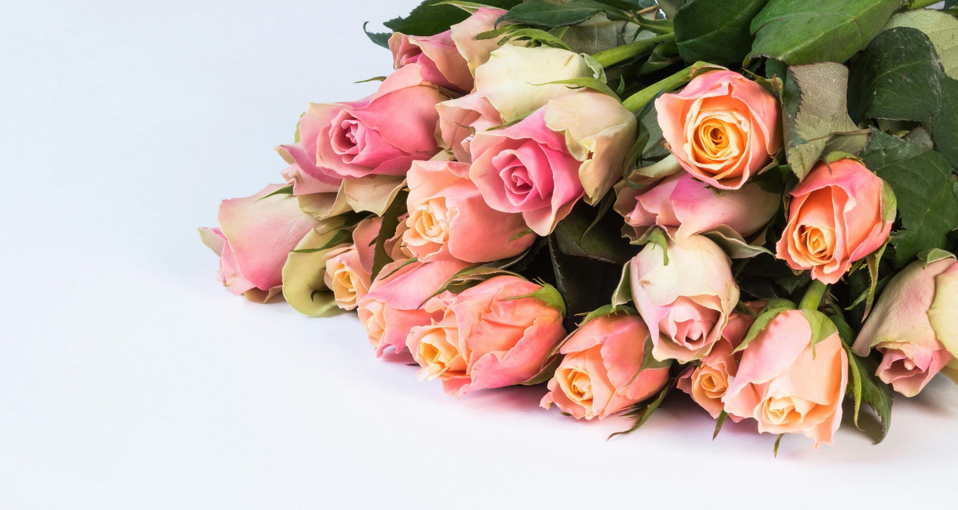 A bouquet of pink and orange roses on a white background.