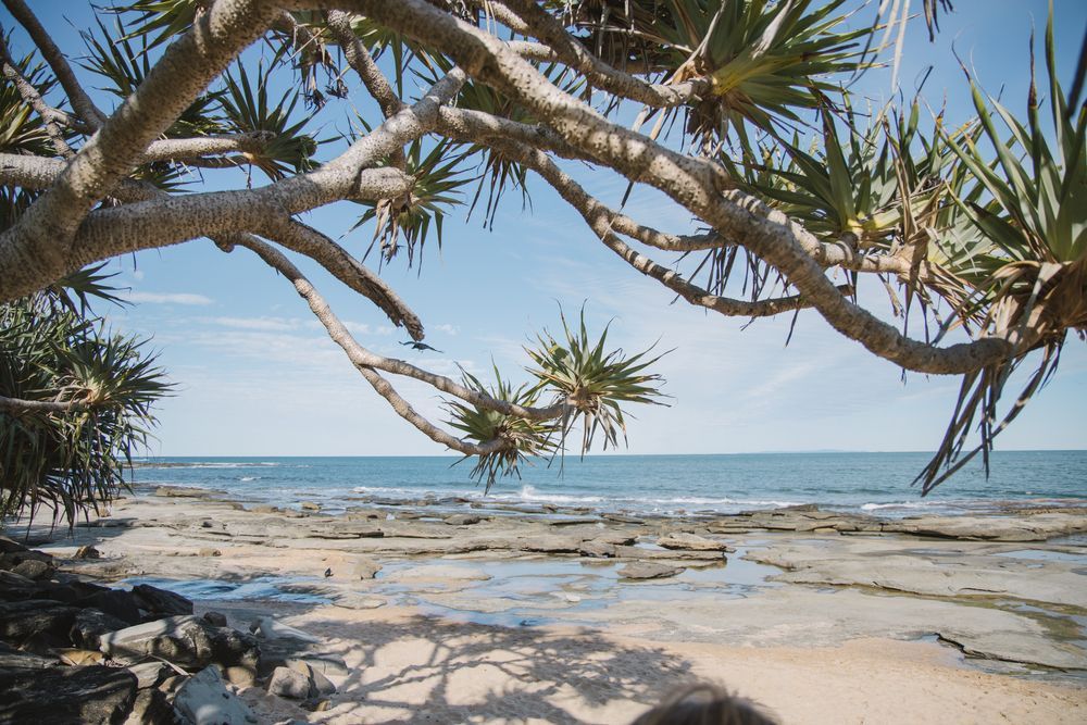A View Of Caloundra Beach — The Denture Care Group Sunshine Coast in Caloundra, QLD