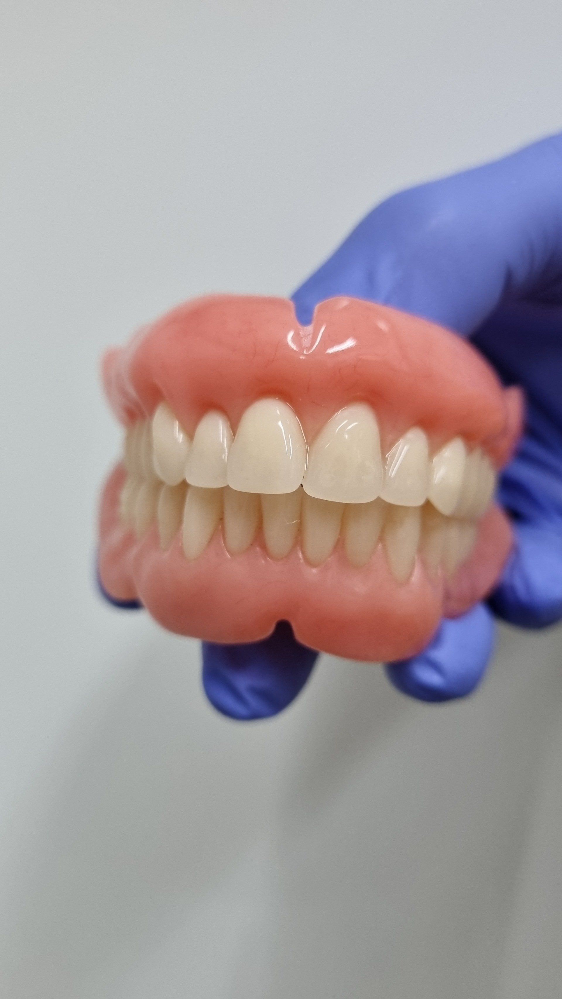 Dentures held by a gloved hand, Showing Pink Gums and White Teeth — The Denture Care Group Sunshine Coast in Caloundra, QLD