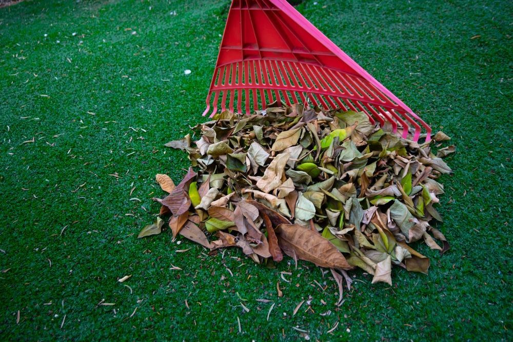 Red rake gathering autumn leaves on green turf.