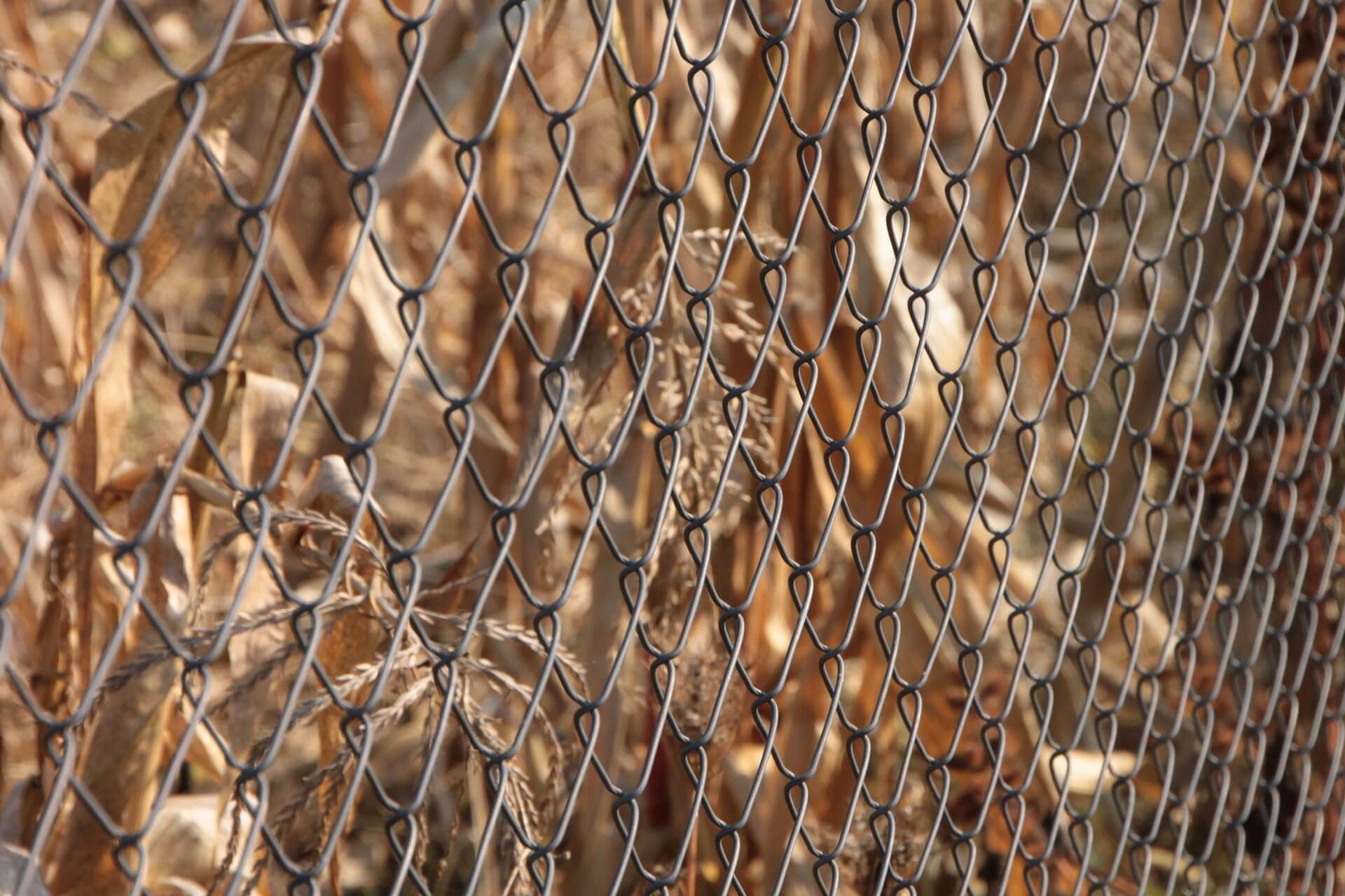 Close view of chain link fence posts set in concrete at a commercial property