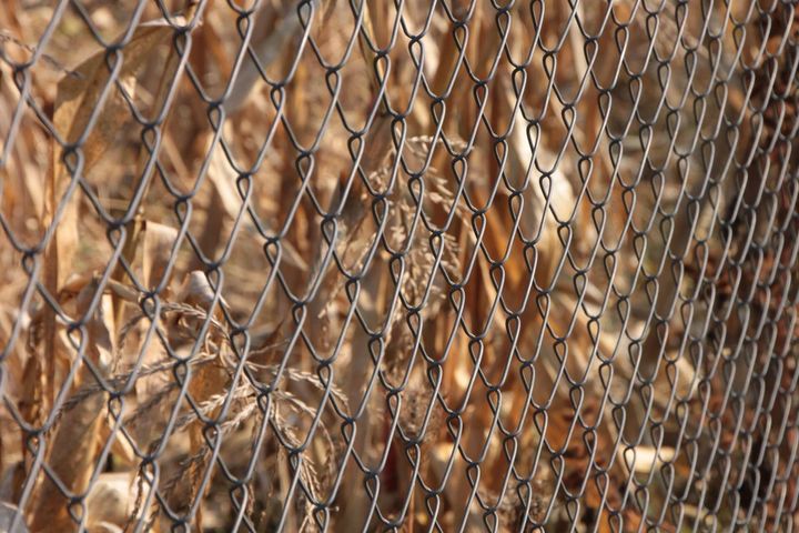 Chain Link Fence Install at a Casa Grande home