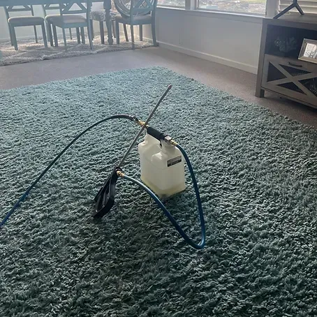 Area Rug Cleaning Atascadero