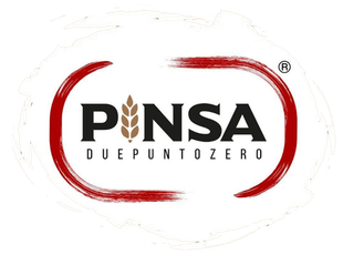 logo pinsa2.0