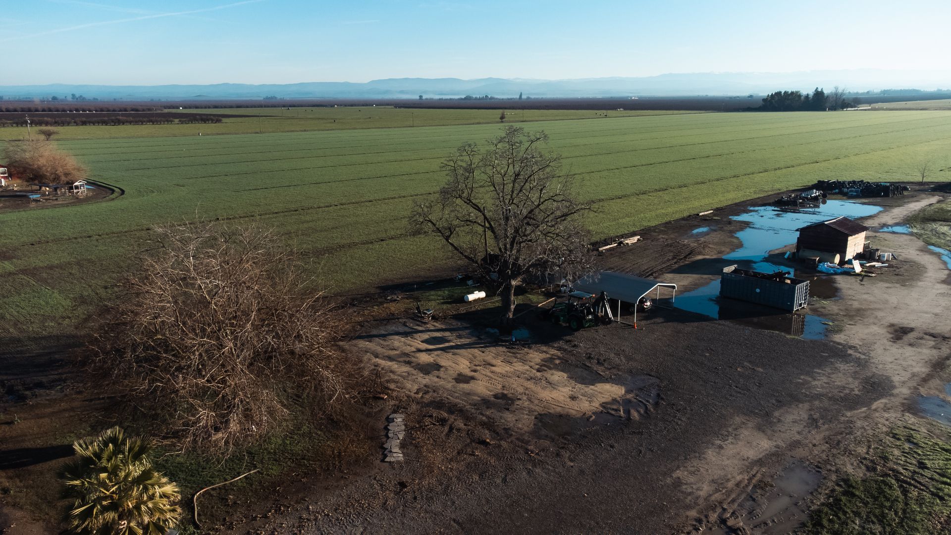 An aerial view of a muddy field with a tree in the middle.