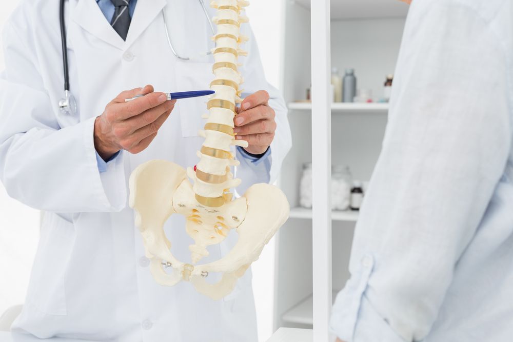 Doctor Pointing to a Spinal Model, Explaining It to a Patient — Spinal Decompression Sunshine Coast In Caloundra, QLD