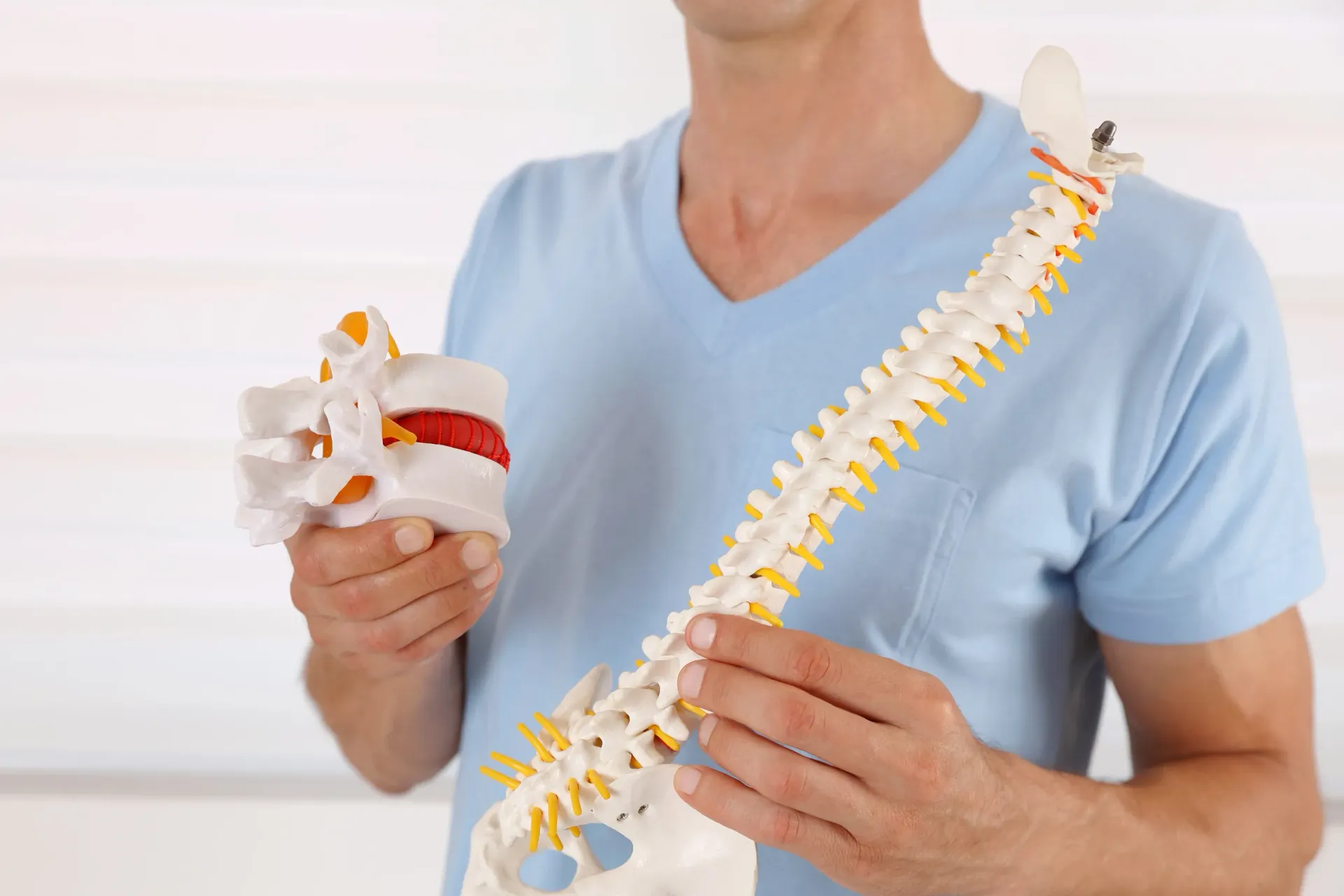 Man Holding a Model of a Spine, Explaining Vertebrae and Disks — Spinal Decompression Sunshine Coast In Buderim, QLD