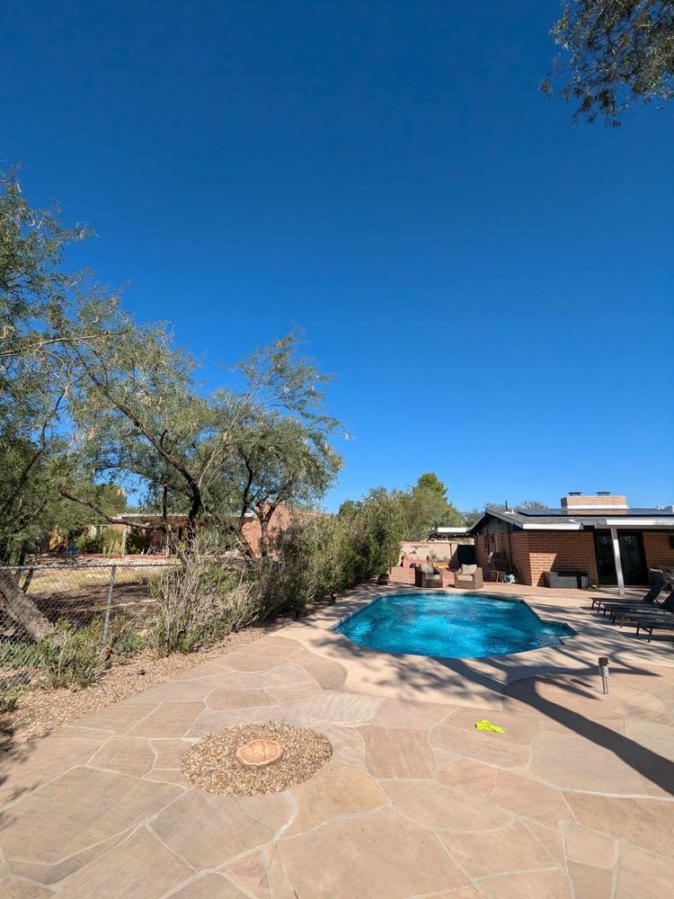 Backyard with blue pool, trees, and a house under a clear, blue sky.