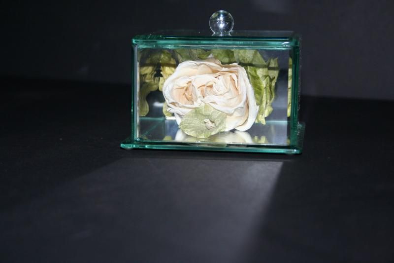 White rose in a green glass box on a dark background
