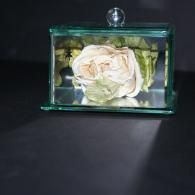 White rose in a glass box with a teal frame on a dark background