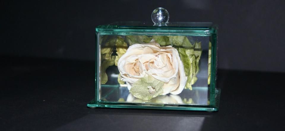 White rose in a glass display box against a dark background