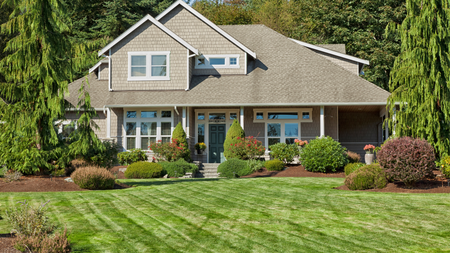 lawn care service