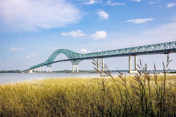 Un pont en acier vert enjambe une rivière bordée de fleurs sauvages jaunes, sous un ciel bleu parsemé de nuages.