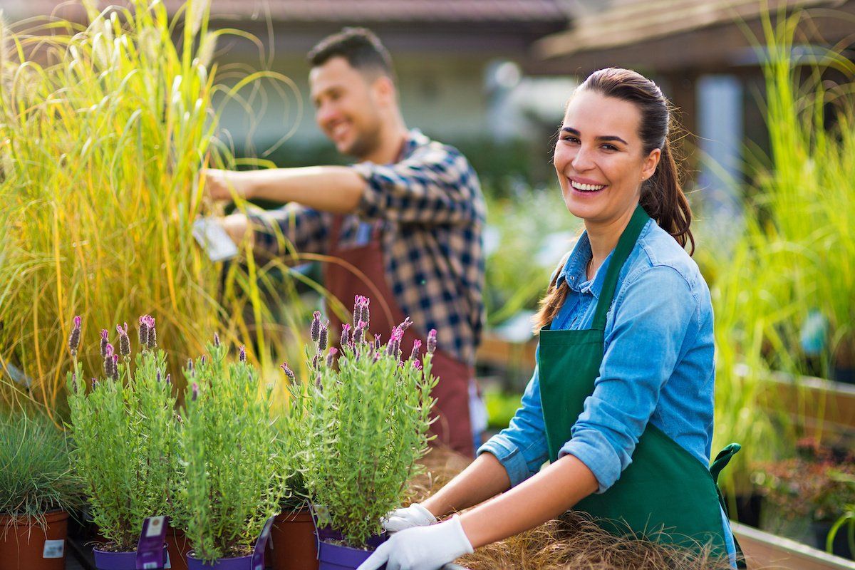 A man and a woman are working in a garden center.
