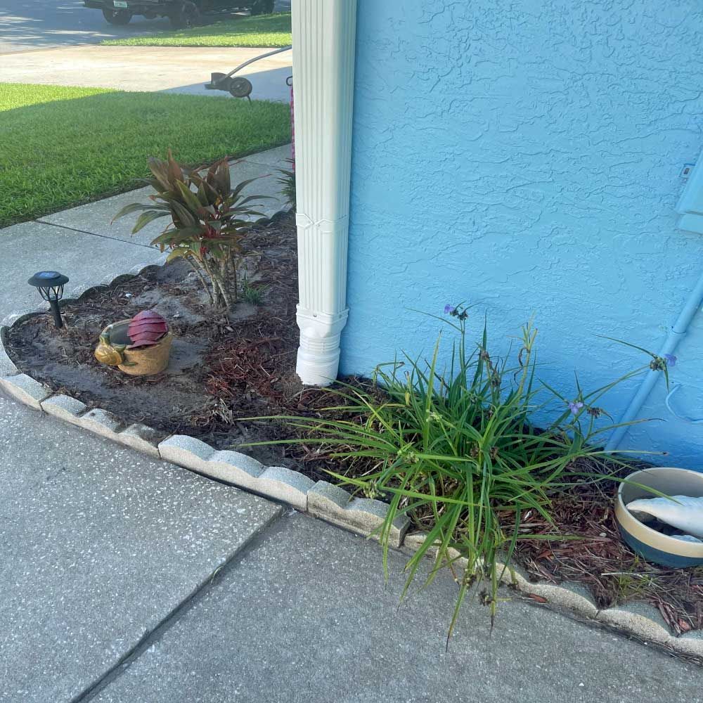 A blue house with a garden showing a gutter