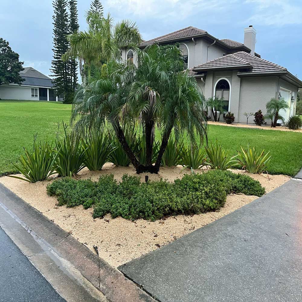 A house with a palm tree landscaping