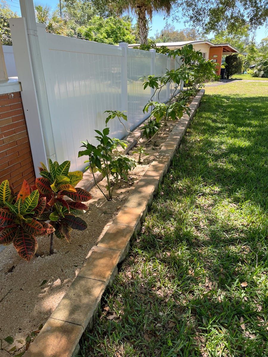 A row of plants growing next to a white fence in a yard.