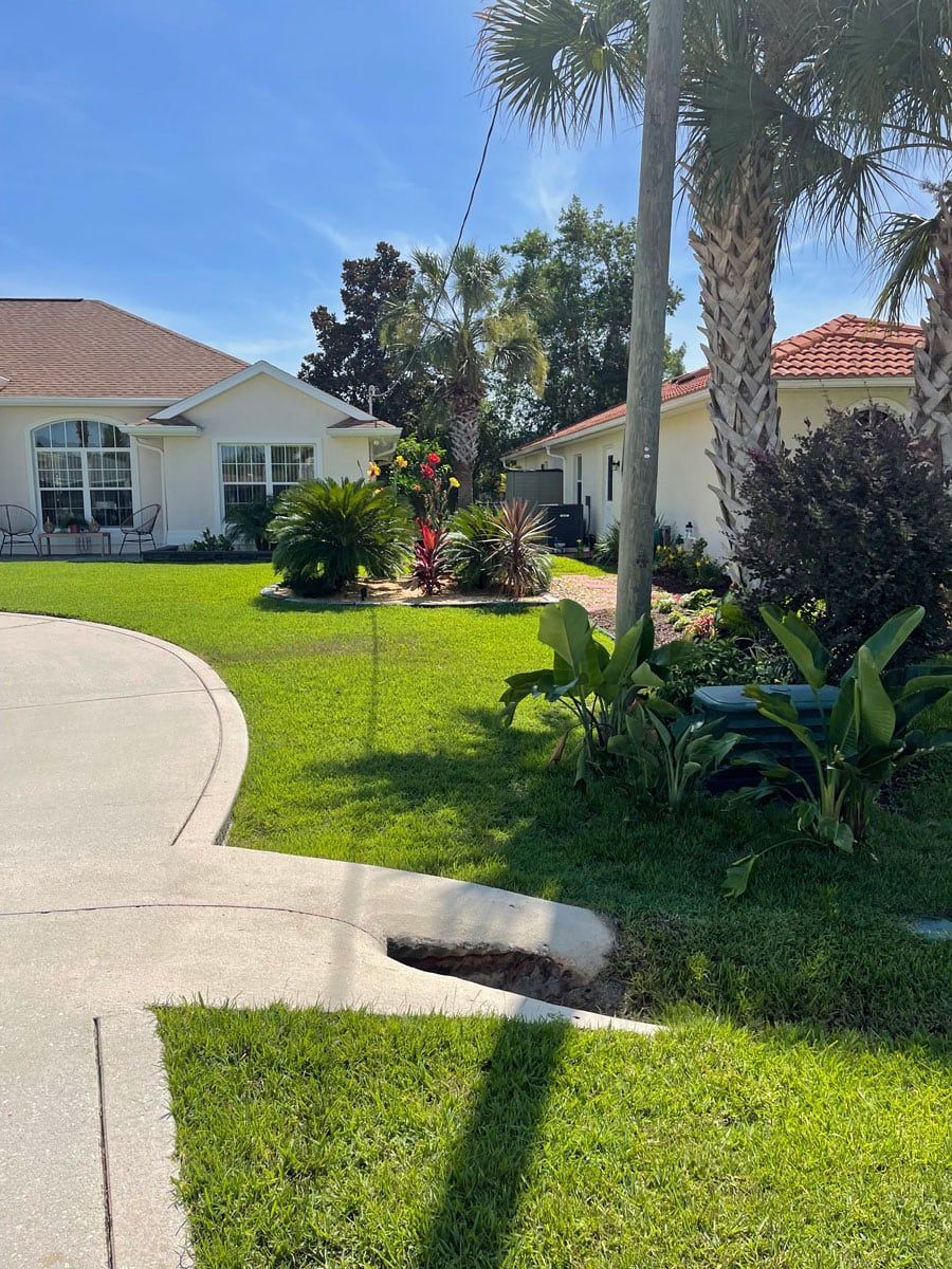 A white house with a lush green lawn and a palm tree in front of it.