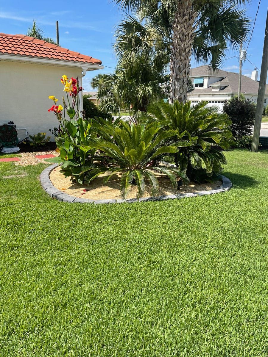 A lush green lawn with flowers and palm trees in front of a house.