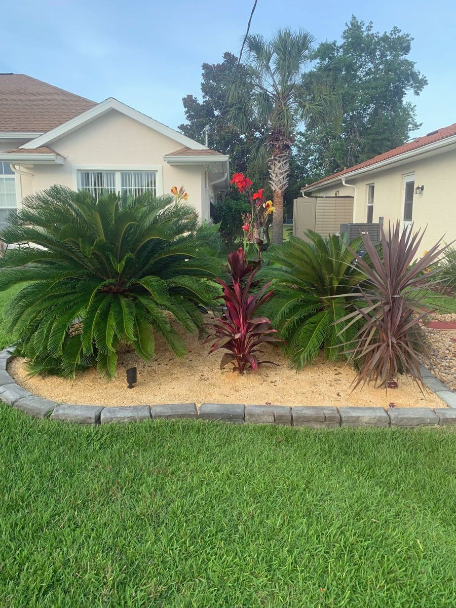 A lawn with a lot of plants and flowers in front of a house.