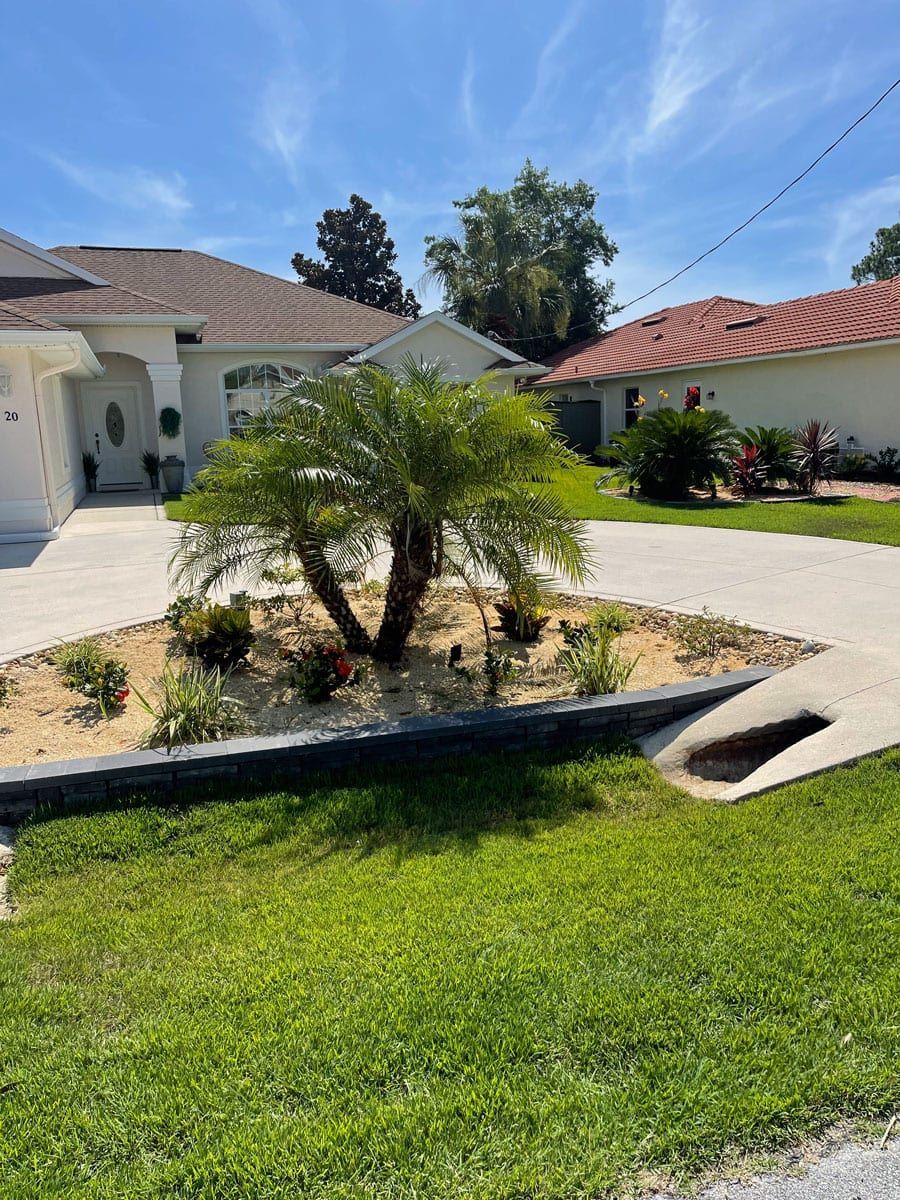 A palm tree is in the middle of a lush green yard in front of a house.