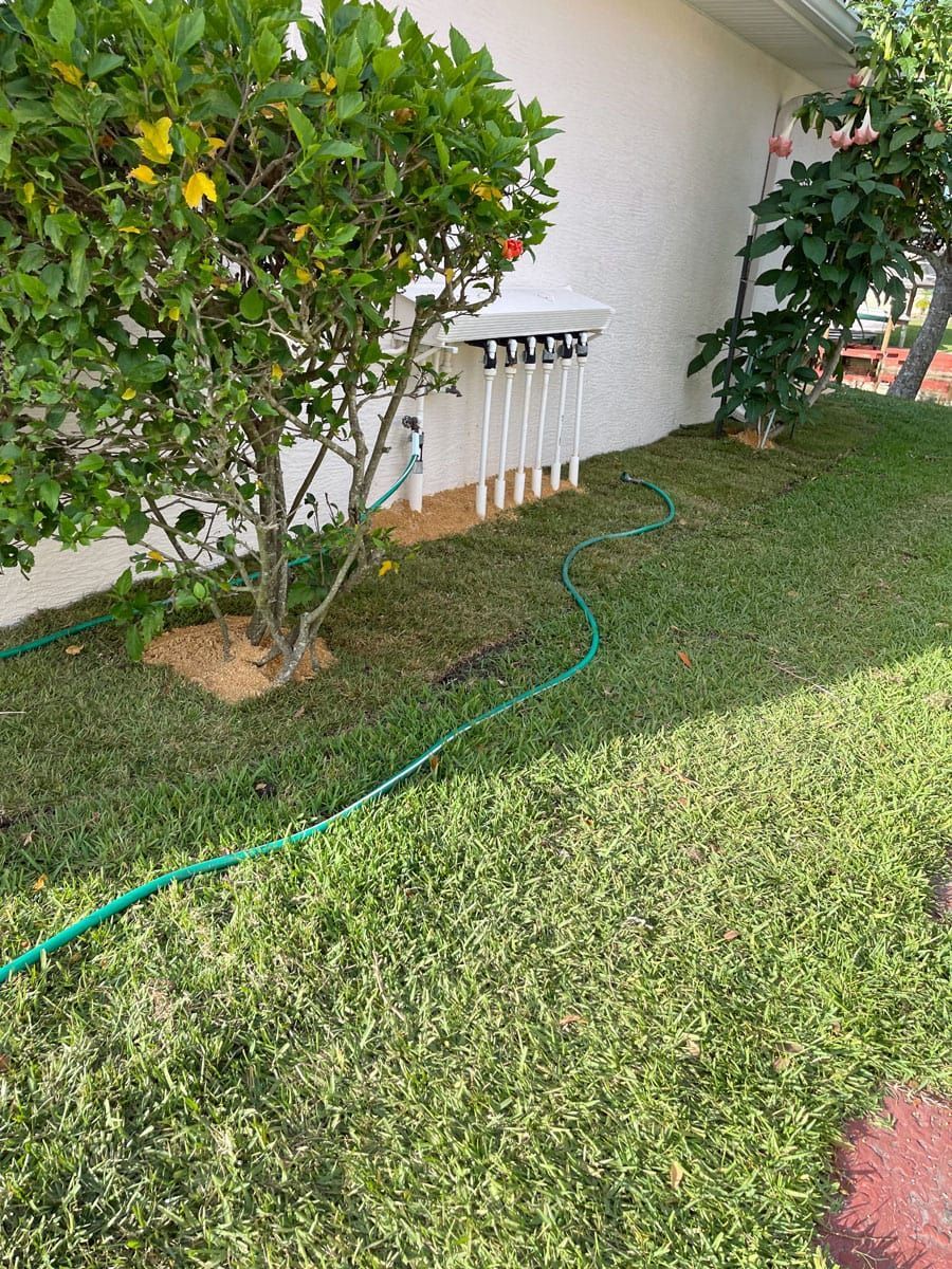 A hose is laying in the grass next to a tree.