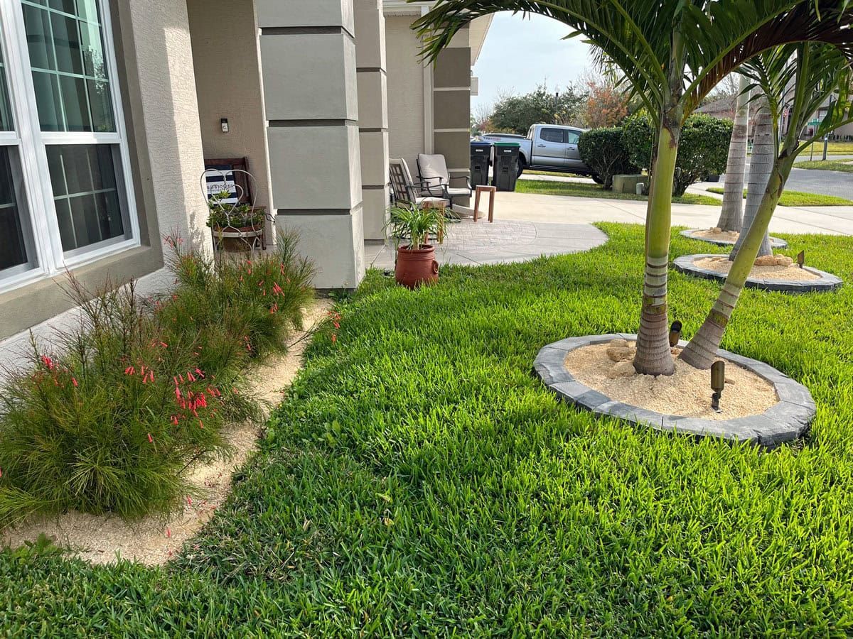 A lush green lawn with palm trees in front of a house.