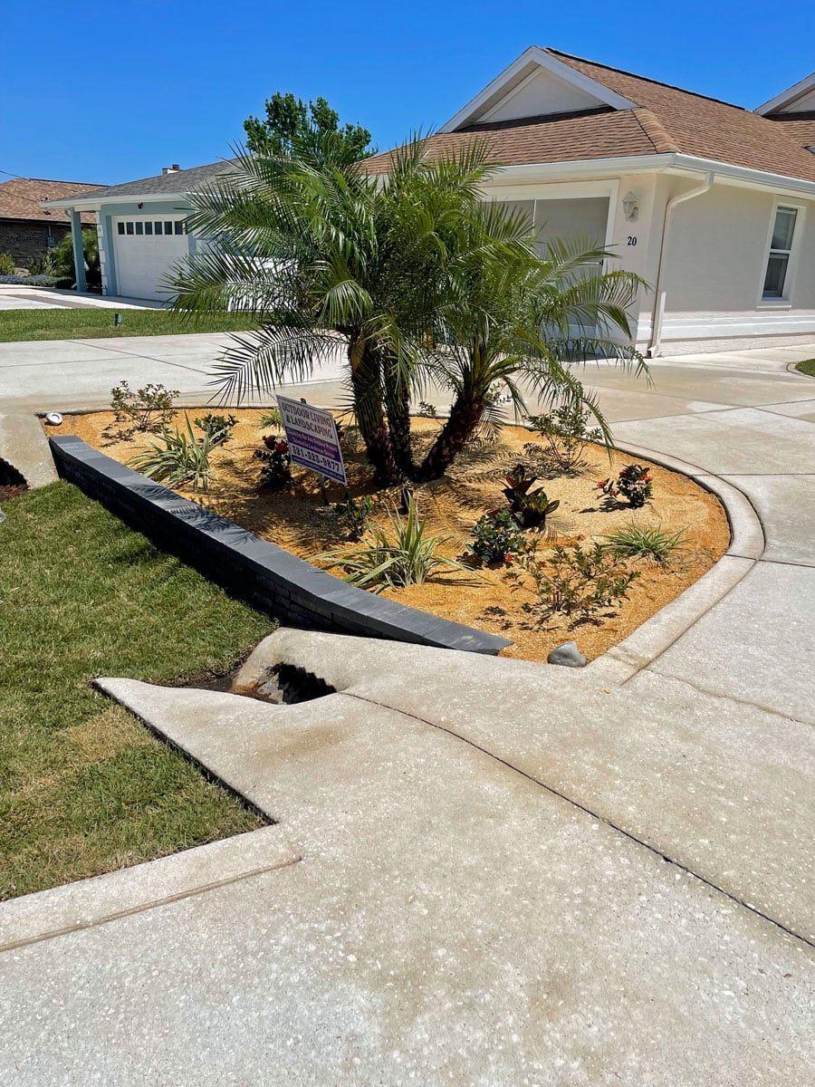 A palm tree is in the middle of a driveway next to a house.