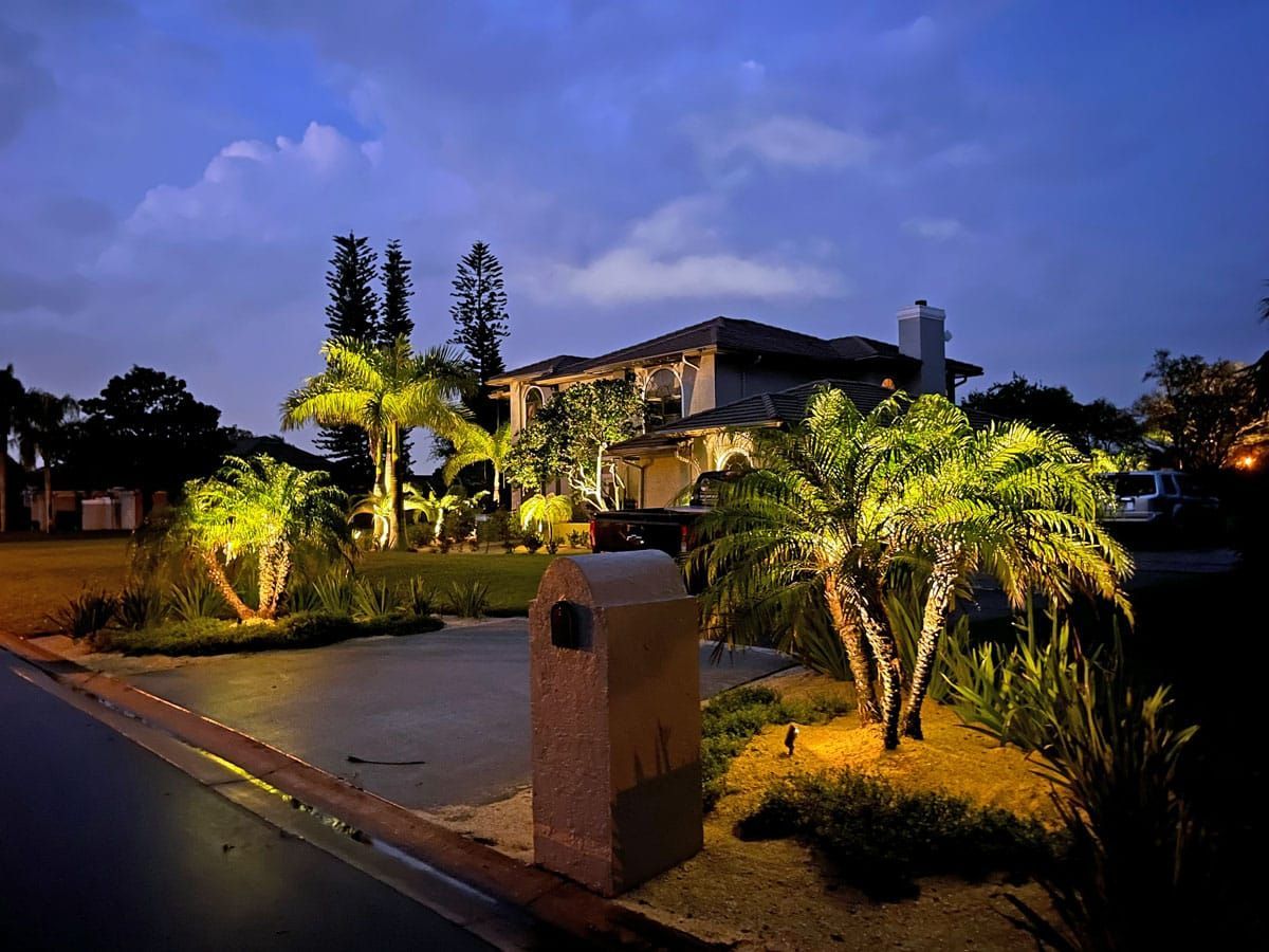 A house with palm trees in front of it is lit up at night.