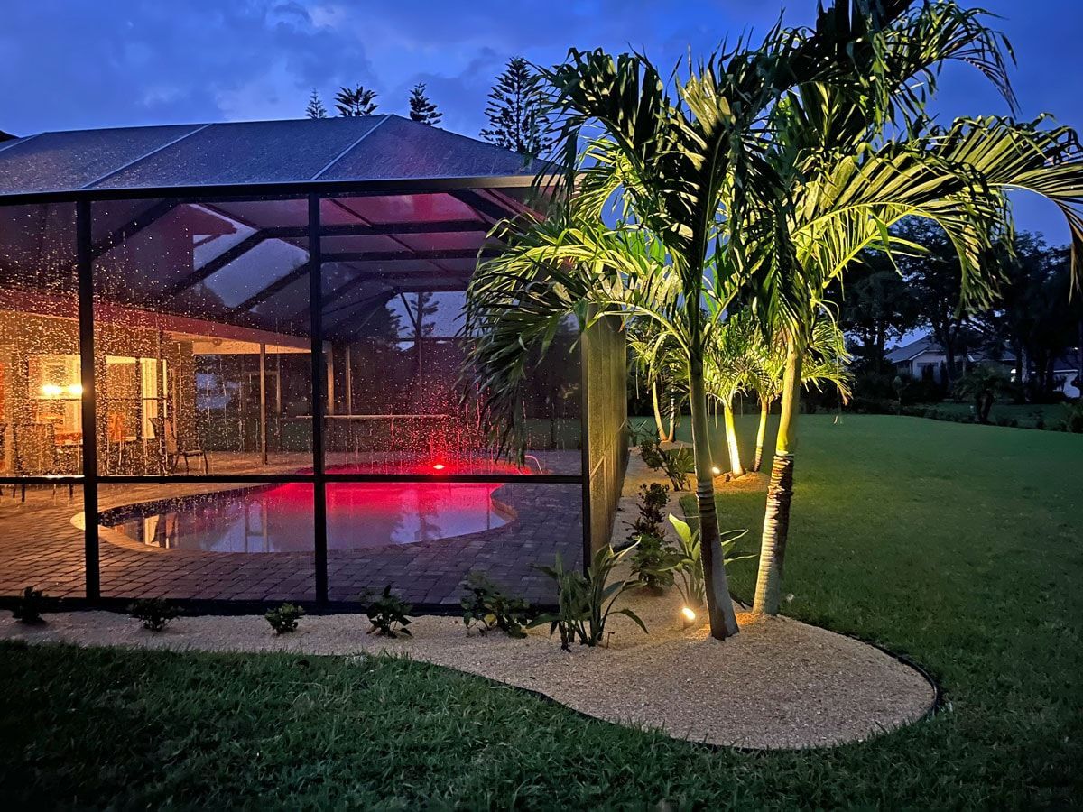 A screened in pool with a palm tree in front of it at night.