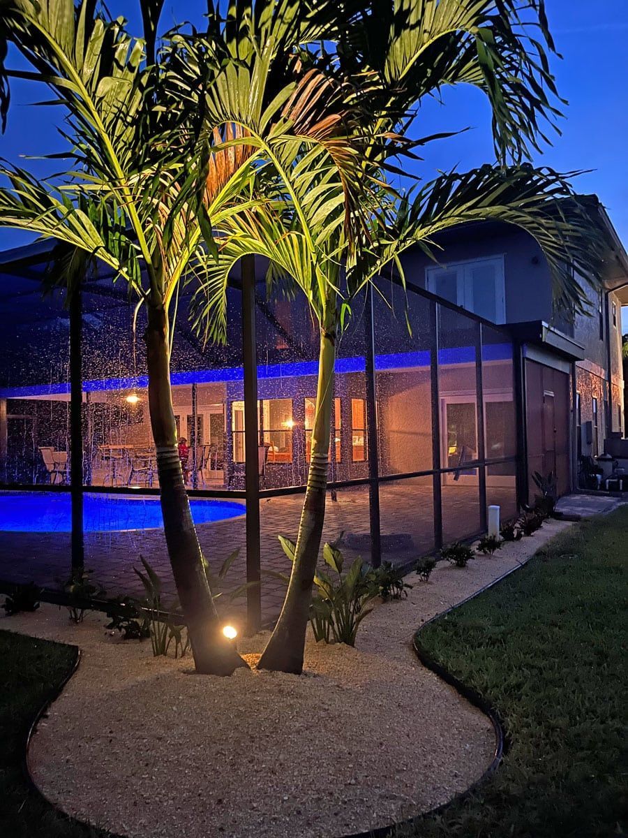 A palm tree is lit up in front of a screened in pool.
