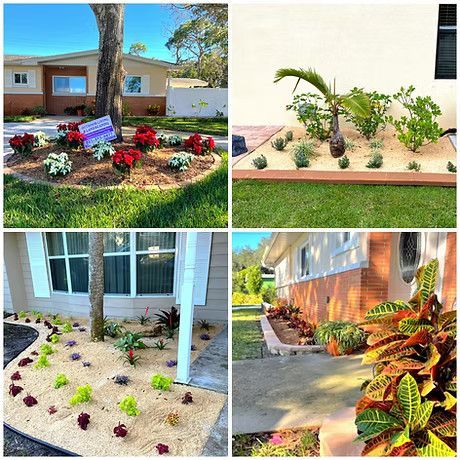 A collage of four foliage pictures 