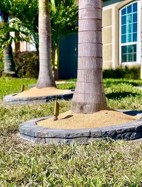 Three palm trees are sitting in the grass in front of a house.