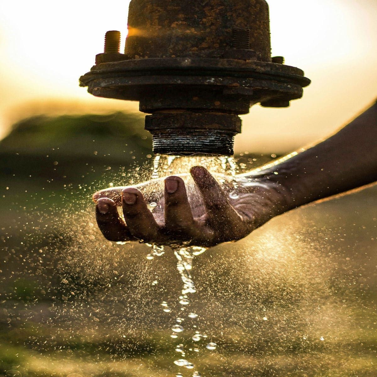 A water efficiecny photo