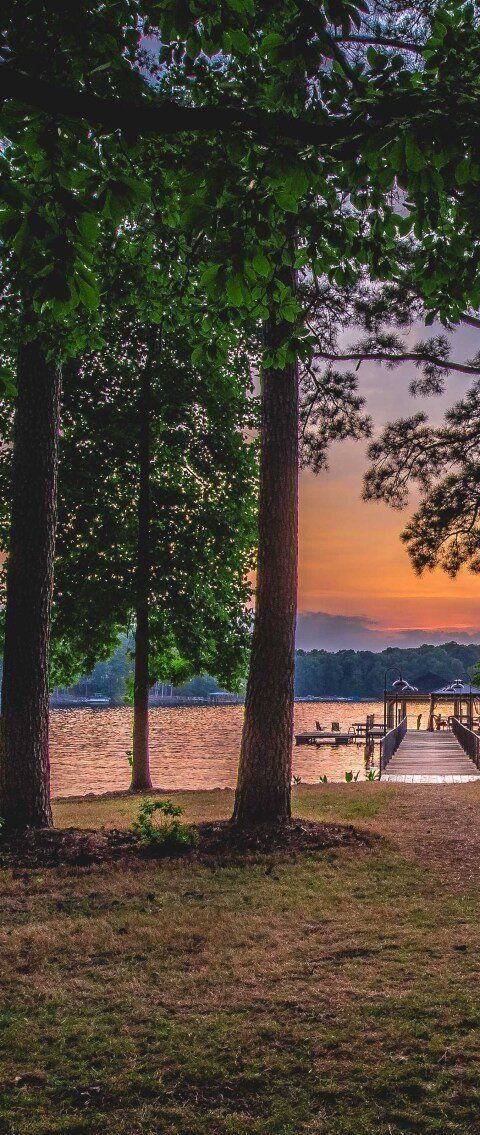 Dusk beach scene framed by trees, with orange sunset over calm water and a few people by the shore