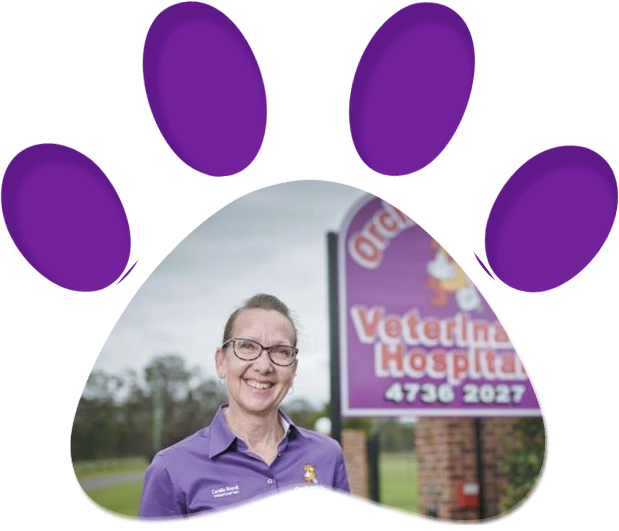 Camille Brandt — Penrith, NSW — Orchard Hills Veterinary Hospital Camille Brandt — Penrith, NSW — Orchard Hills Veterinary Hospital