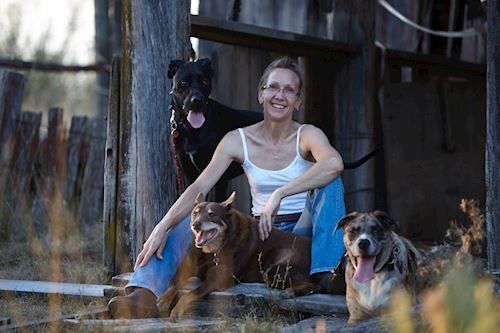 Dr Camille Brandt — Penrith, NSW — Orchard Hills Veterinary Hospital Dr Camille Brandt — Penrith, NSW — Orchard Hills Veterinary Hospital