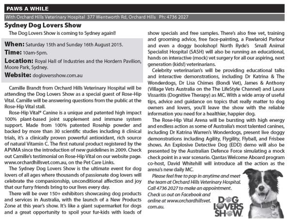 Dog Article — Penrith, NSW — Orchard Hills Veterinary Hospital Dog Article — Penrith, NSW — Orchard Hills Veterinary Hospital