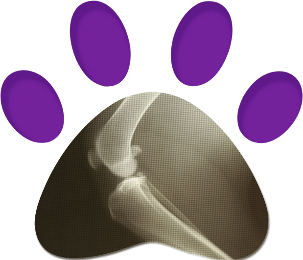 X-ray Of Dog — Penrith, NSW — Orchard Hills Veterinary Hospital X-ray Of Dog — Penrith, NSW — Orchard Hills Veterinary Hospital
