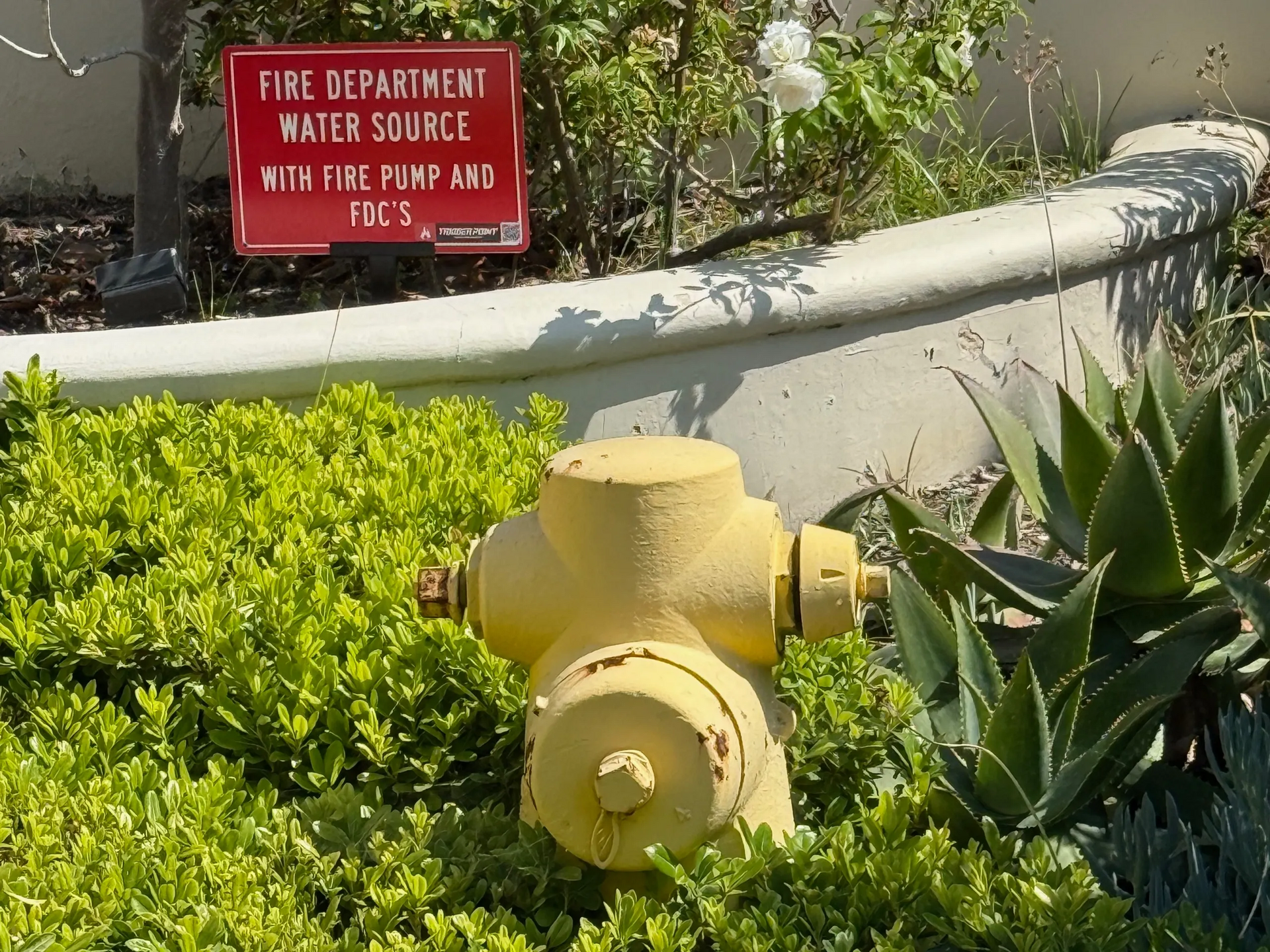 Yellow fire hydrant surrounded by greenery, with a red sign: 