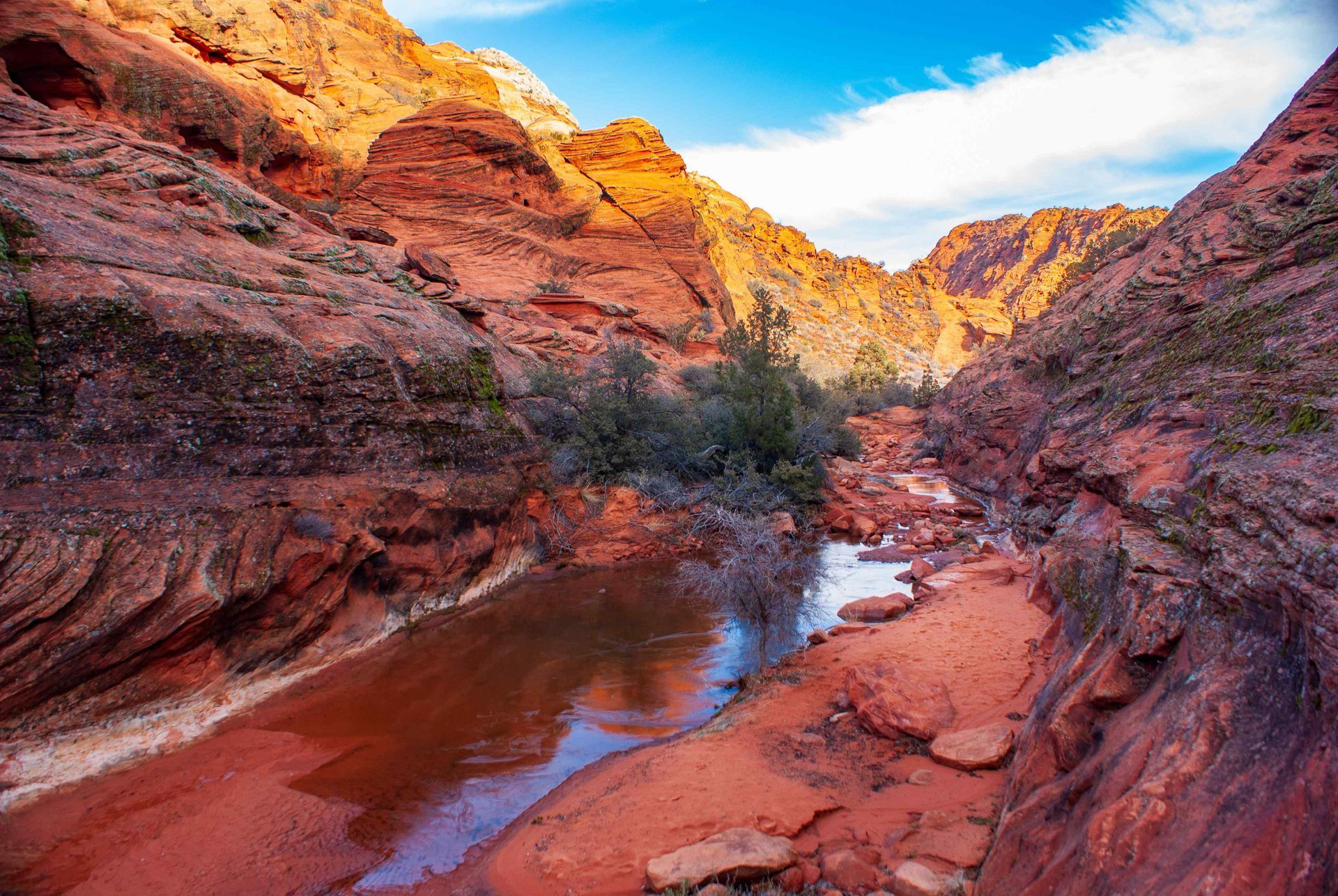 A river running through a Snow Canyon State Park in St. George Utah, with mountains in the background.