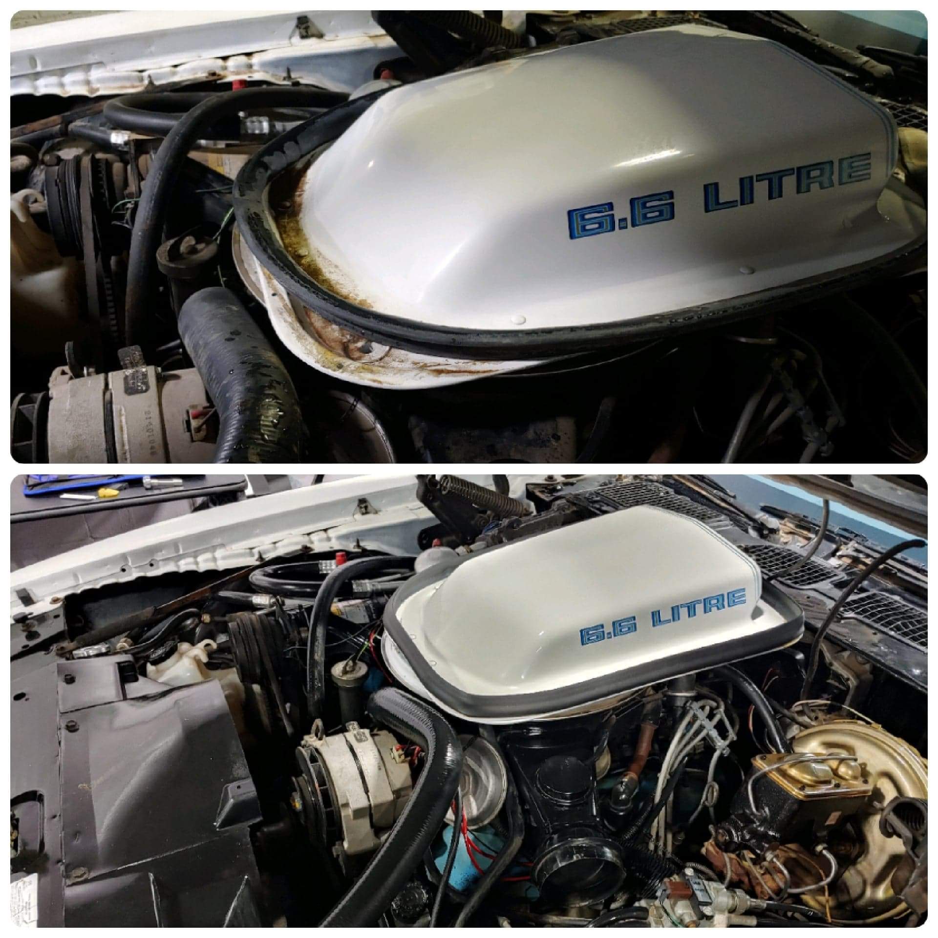 6.6L Trans Am Engine Bay Detailed with Cowl Seal Replacement - To The Limit Motorsportz - Saxonburg PA