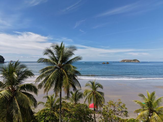 Tropical beach with palm trees, calm blue ocean, and small island under a clear sky