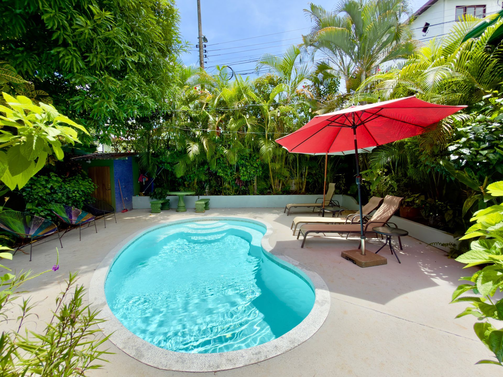 Backyard patio with small pool, lounge chairs, and red umbrella surrounded by lush greenery