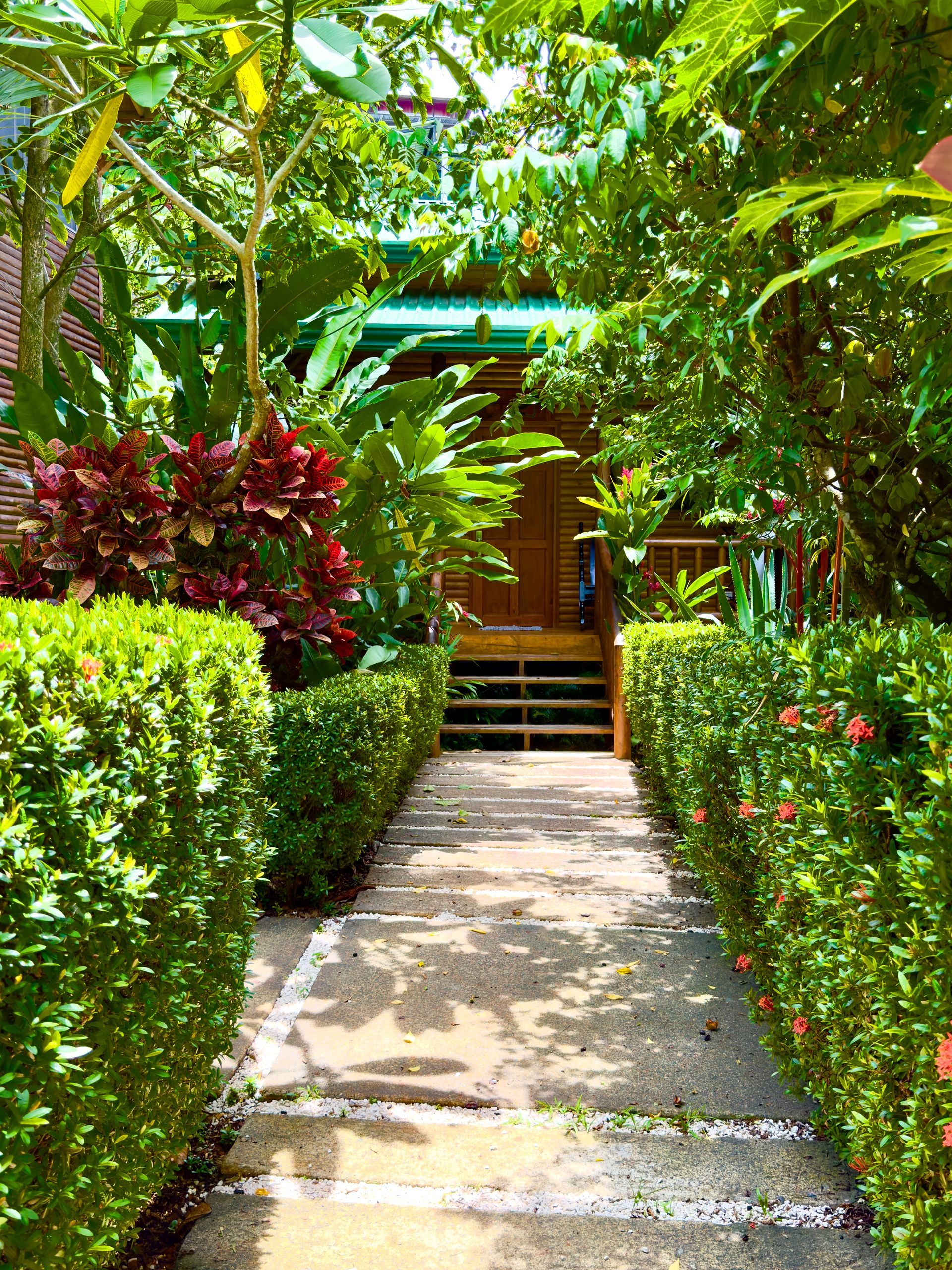 Beautiful vacation rental in Manuel Antonio Costa Rica, surrounded by lush tropical garden in a rainforest local neighborhood