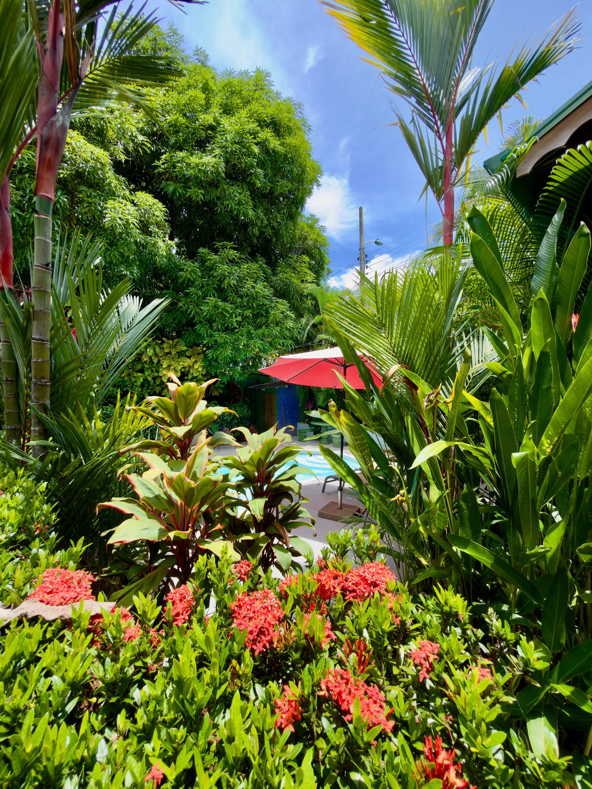 lush tropical garden at a vacation home in Manuel Antonio Costa Rica, with swimming pool and air conditioning