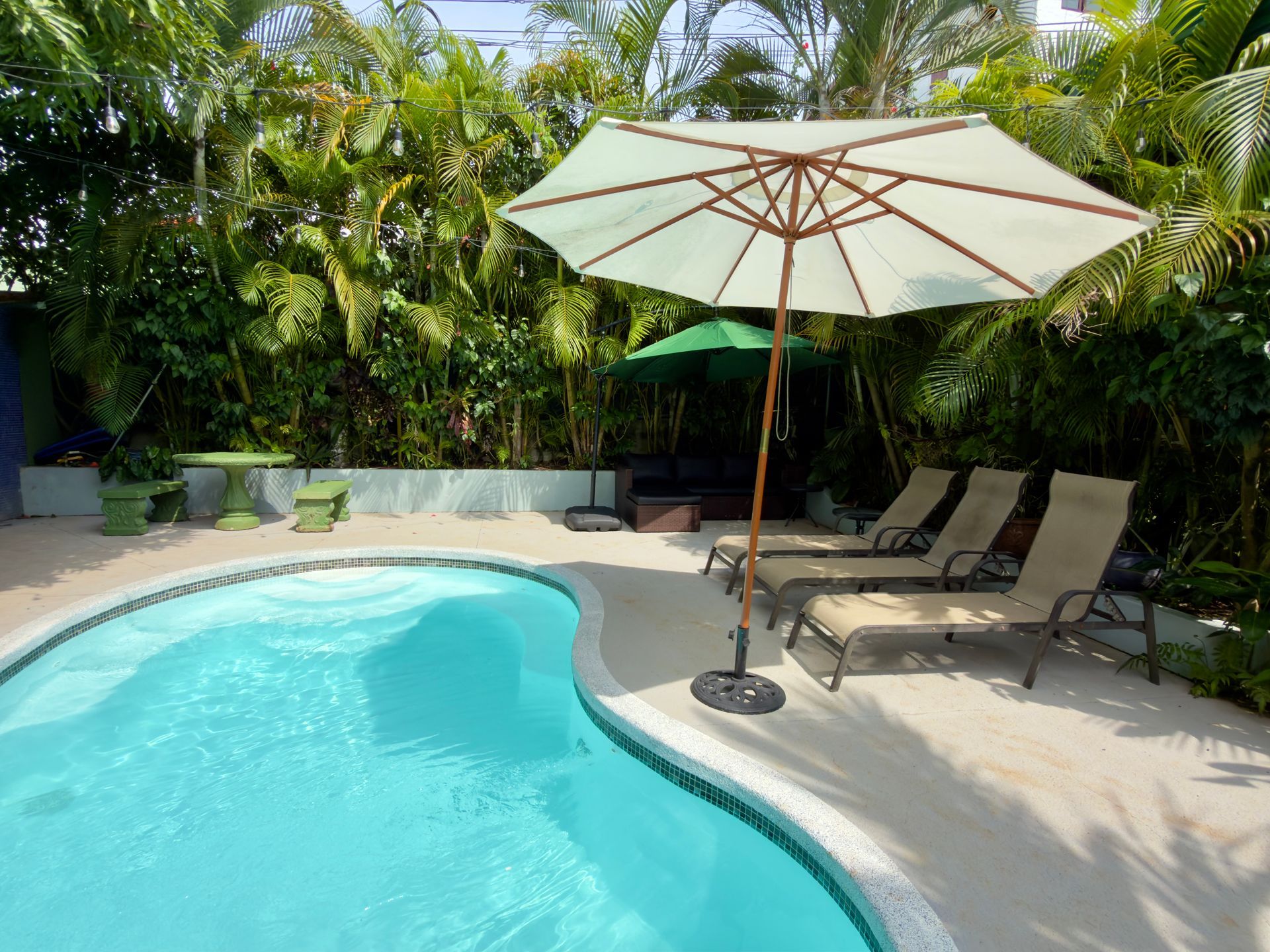 vacation rental place in Manuel Antonio with pool and lush tropical garden, spotting wildlife