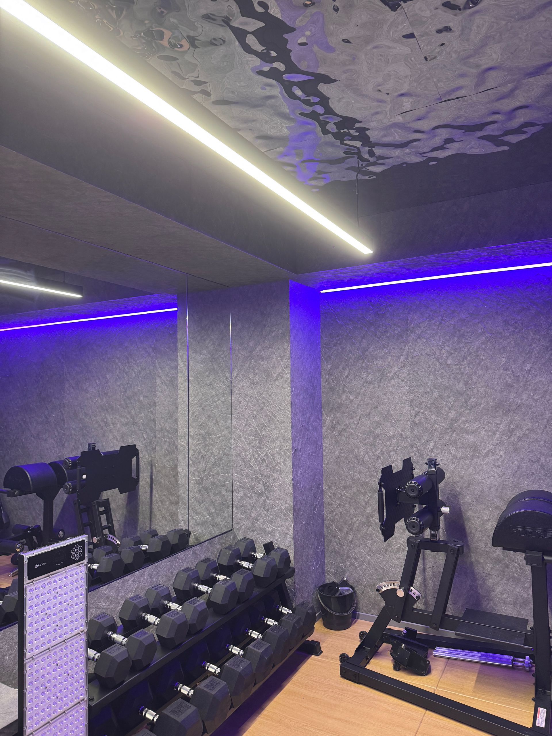 Modern Gym with Dumbbell Rack and Purple LED Ceiling Lights — JPR Concepts in Burleigh Heads, QLD