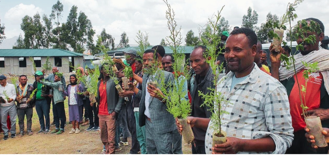 People holding saplings, possibly for tree planting, standing in front of buildings and trees.