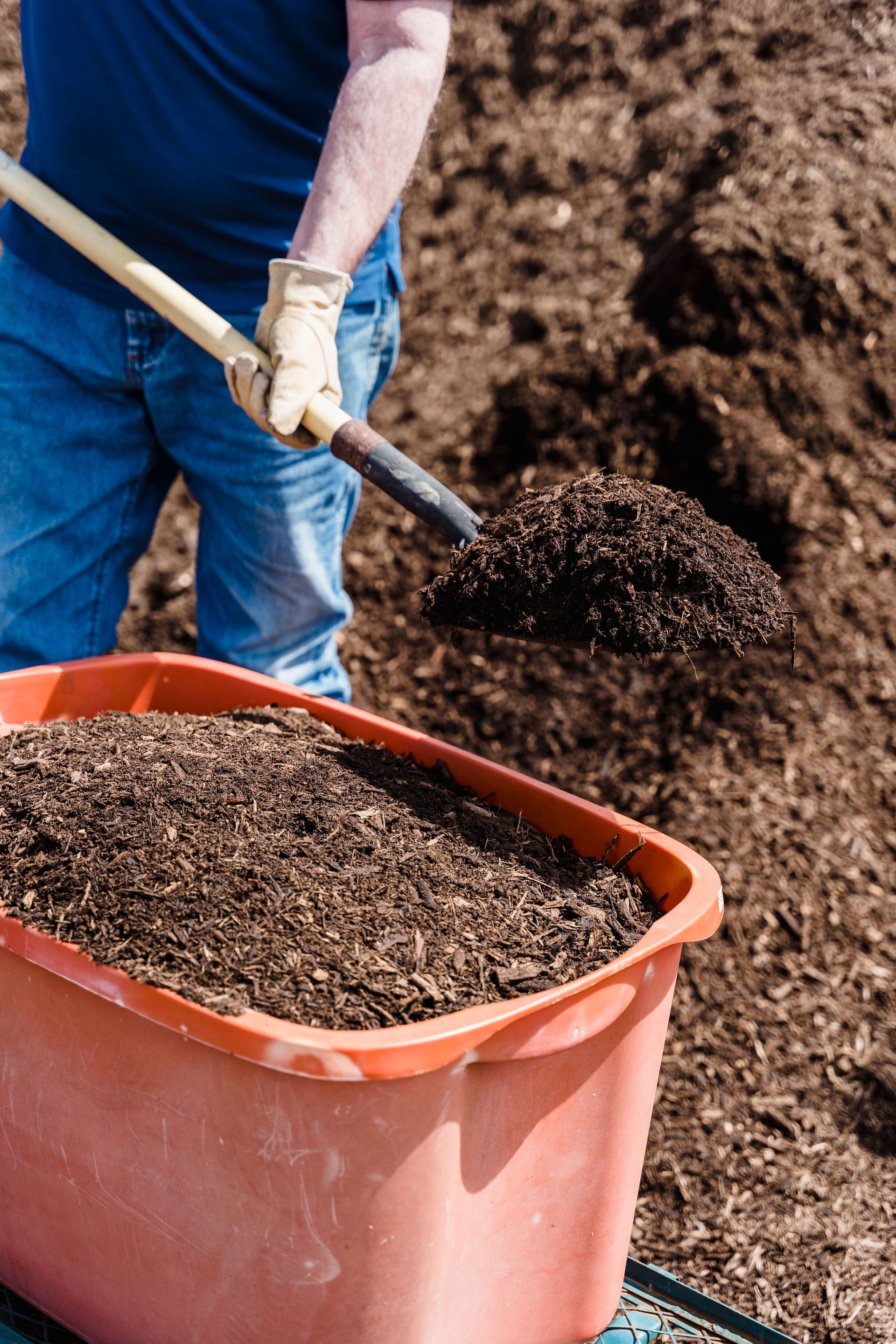 Homeowner measuring a garden bed before ordering mulch